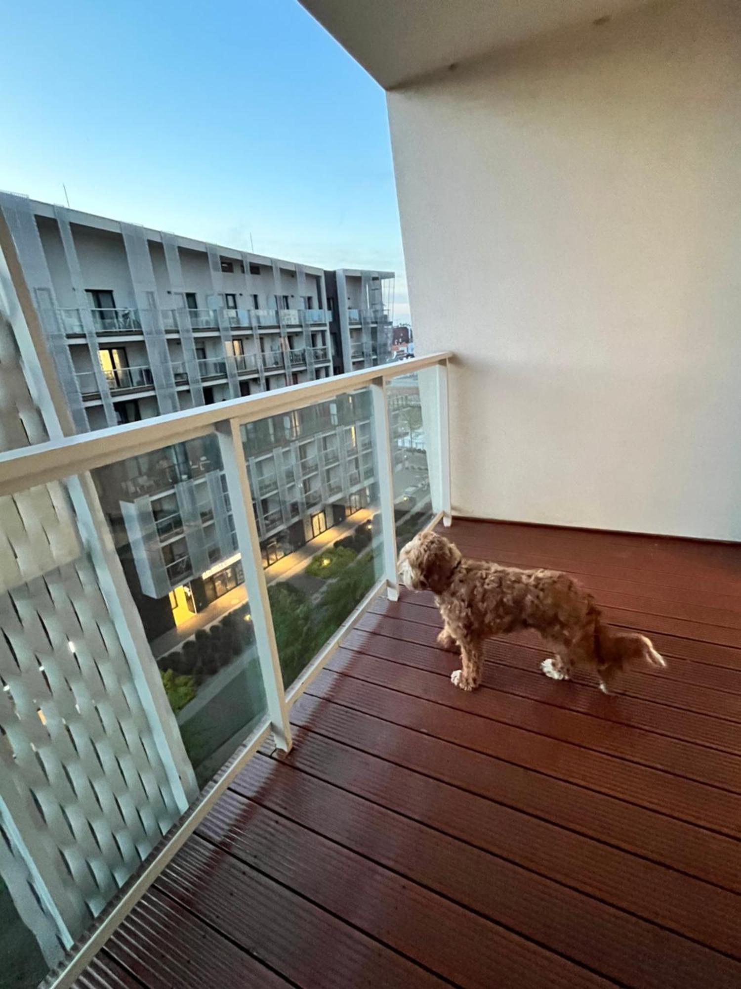 Family House By The River Odra -Panoramic Terrace - 3Room Apartment With 2 Separate Bedrooms And 2 Balconies By Wroapart-Pl- Perfect For Family & Business Stays Breslavia Exterior foto